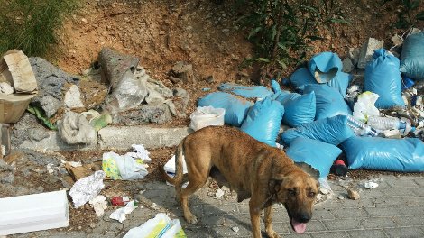 Ο χώρος προσωρινής στάθμευσης της Λ.Αθηνών στο Χαϊδάρι που μετατράπηκε σε απέραντο σκουπιδότοπο [εικόνες] | iefimerida.gr 3