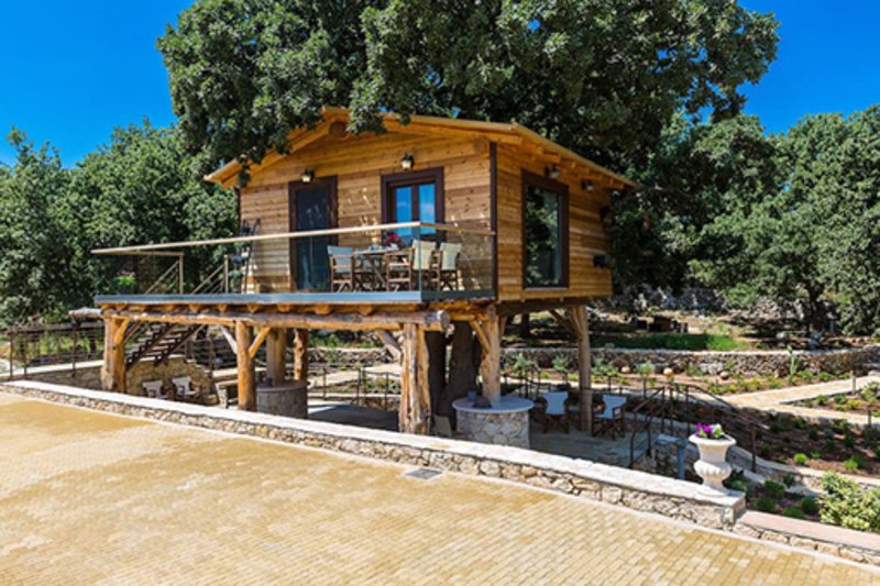 Διακοπές σε ονειρεμένα δεντρόσπιτα της Ελλάδας -Μποέμ διάθεση και ηρεμία στη φύση [εικόνες] | iefimerida.gr 9