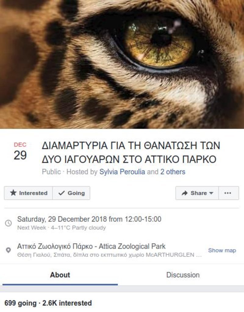 Αττικό Πάρκο: Φιλοζωικές οργανώσεις καλούν σε συγκέντρωση διαμαρτυρίας για τη θανάτωση των δυο τζάγκουαρ [εικόνες] | iefimerida.gr 0