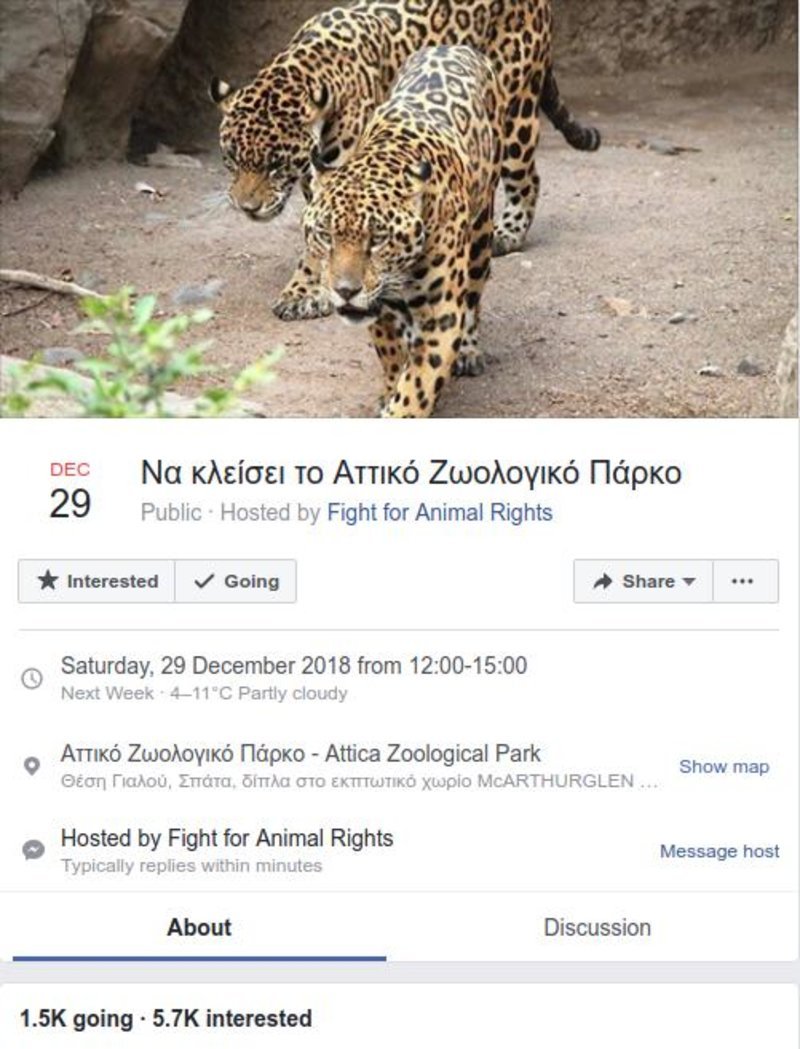 Αττικό Πάρκο: Φιλοζωικές οργανώσεις καλούν σε συγκέντρωση διαμαρτυρίας για τη θανάτωση των δυο τζάγκουαρ [εικόνες] | iefimerida.gr 1