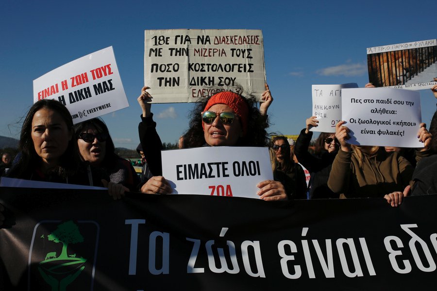 Συγκέντρωση διαμαρτυρίας στο Αττικό Ζωολογικό Πάρκο -Για τη θανάτωση των 2 τζάγκουαρ [εικόνες]  | iefimerida.gr 2