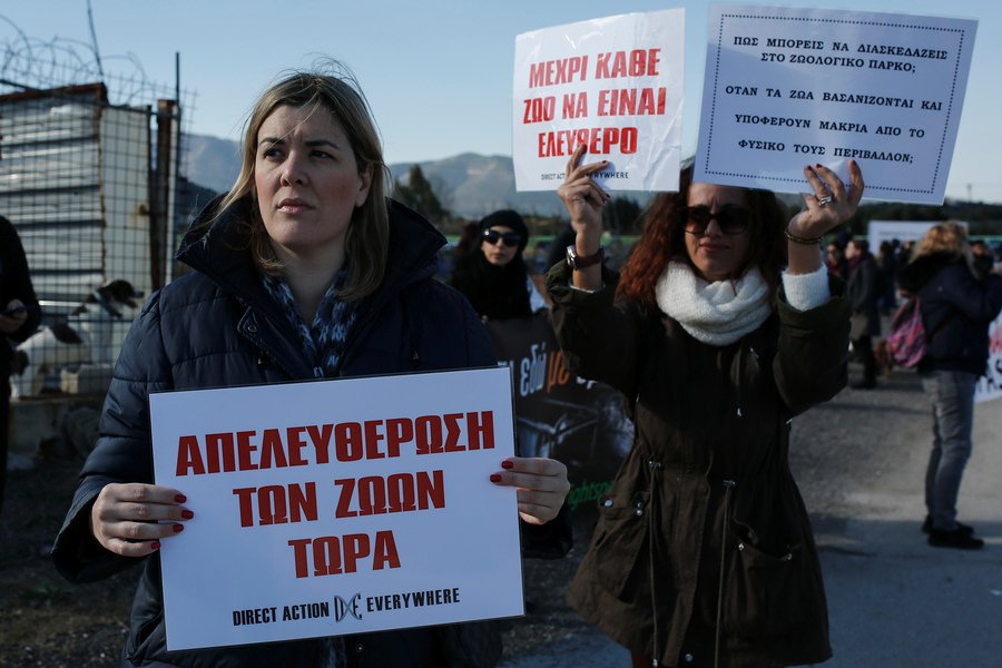 Συγκέντρωση διαμαρτυρίας στο Αττικό Ζωολογικό Πάρκο -Για τη θανάτωση των 2 τζάγκουαρ [εικόνες]  | iefimerida.gr 3