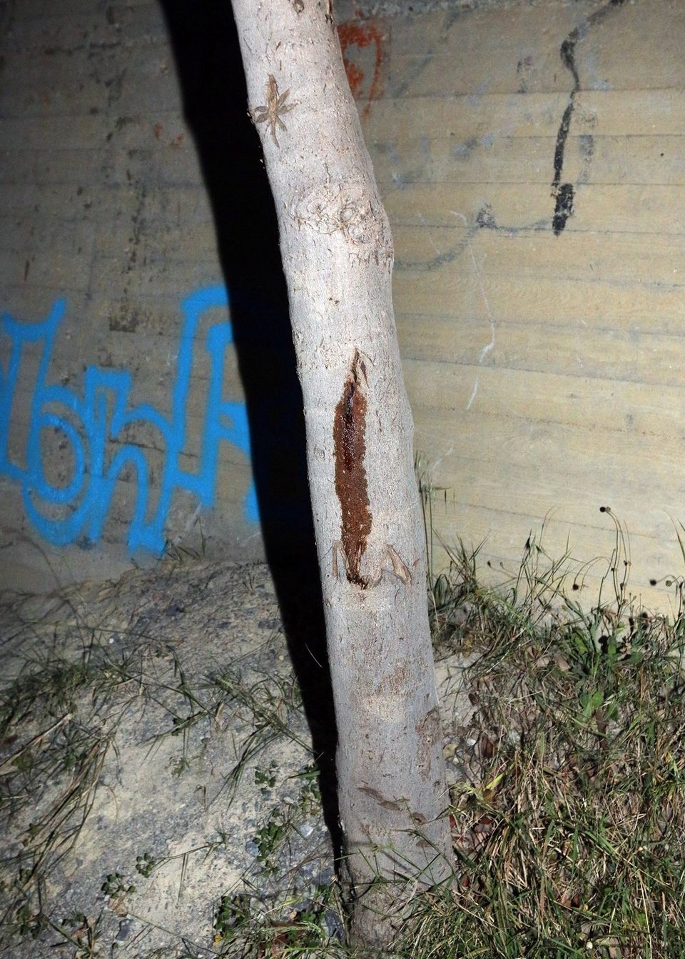 Ηράκλειο: Στην εντατική 15χρονος ποδοσφαιριστής μετά από πτώση από 4 μέτρα [εικόνες] | iefimerida.gr 1