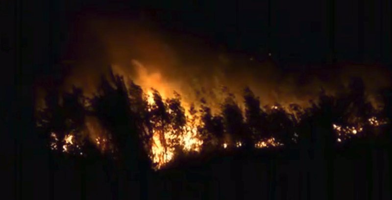 Πρεμιέρα πυρκαγιών από... Μάρτιο -Σε πύρινο κλοιό η χώρα με φωτιές σε Αυλώνα, Ηλεία, Αχαΐα, Εύβοια, Φθιώτιδα και Κρήτη [εικόνες] | iefimerida.gr 0