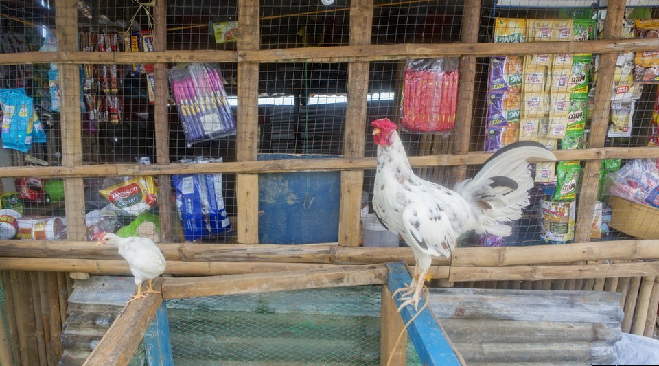 O δικός τους θησαυρός -Αντικείμενα που μαζεύουν οι Φιλιππινέζοι για να ξαναρχίσουν τη ζωή τους μετά τον Χαϊγιάν [εικόνες] | iefimerida.gr 0