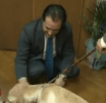 O νέος, τετράποδος, φίλος του Αδωνι Γεωργιάδη και το... νανούρισμα [εικόνα] | iefimerida.gr 0