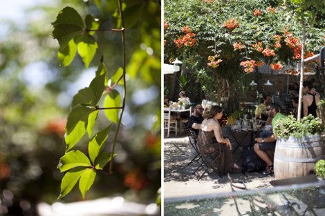 Αυτή είναι η πιο όμορφη ταβέρνα με αυλή στο κέντρο -Για ξεχωριστό φαγητό κάτω από μουριές και κληματαριές [εικόνες] | iefimerida.gr 0