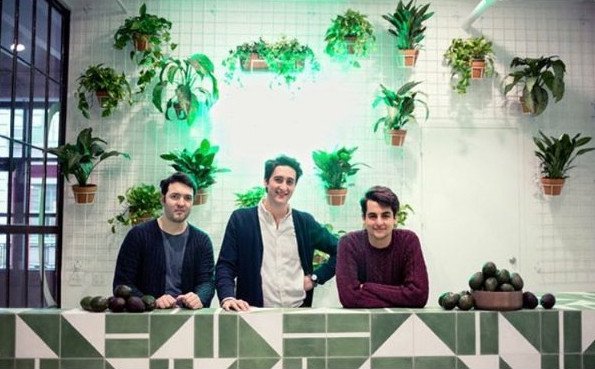 Το πρώτο αβοκάντο bar στον κόσμο -Πιάτα υγιεινά και νόστιμα [εικόνες & βίντεο]  | iefimerida.gr 0