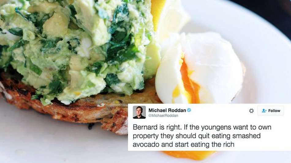 Τοστ αβοκάντο, η νέα τρέλα των millennials -Πόσα ξοδεύουν στις ΗΠΑ [εικόνες] | iefimerida.gr 9