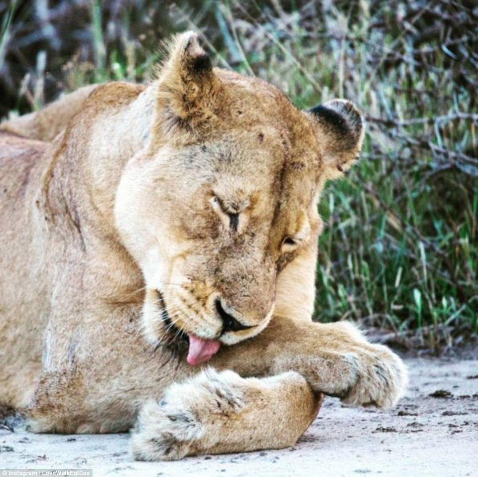 Πριν τυφλωθεί θέλει να δει όλο τον κόσμο -Η συγκινητική ιστορία 34χρονης που πάσχει από σπάνια ασθένεια [εικόνες]  | iefimerida.gr 1
