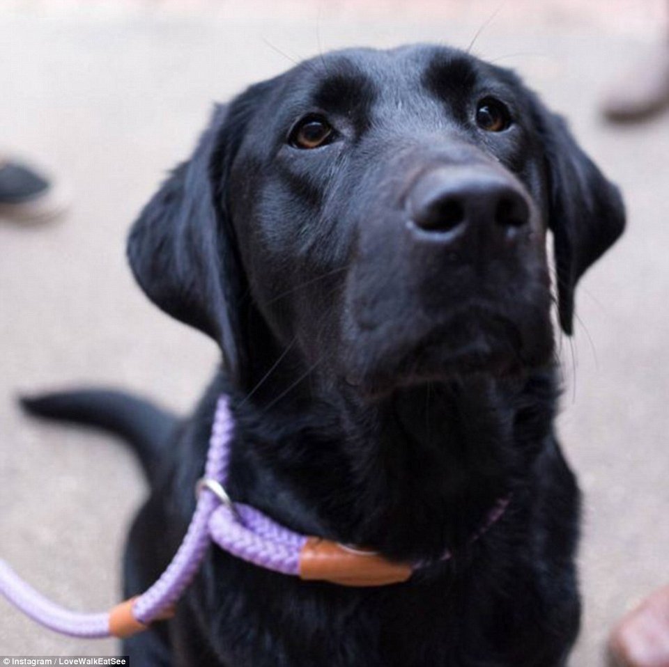 Πριν τυφλωθεί θέλει να δει όλο τον κόσμο -Η συγκινητική ιστορία 34χρονης που πάσχει από σπάνια ασθένεια [εικόνες]  | iefimerida.gr 3