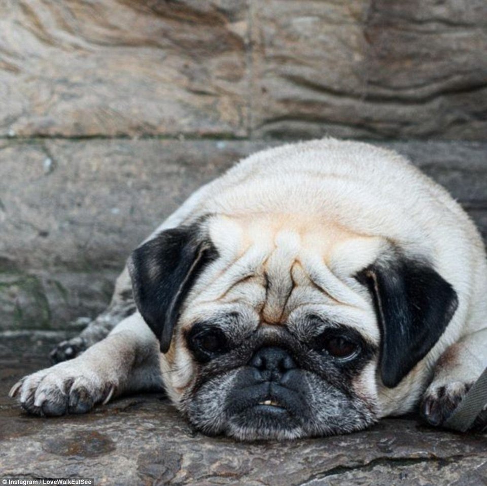 Πριν τυφλωθεί θέλει να δει όλο τον κόσμο -Η συγκινητική ιστορία 34χρονης που πάσχει από σπάνια ασθένεια [εικόνες]  | iefimerida.gr 5