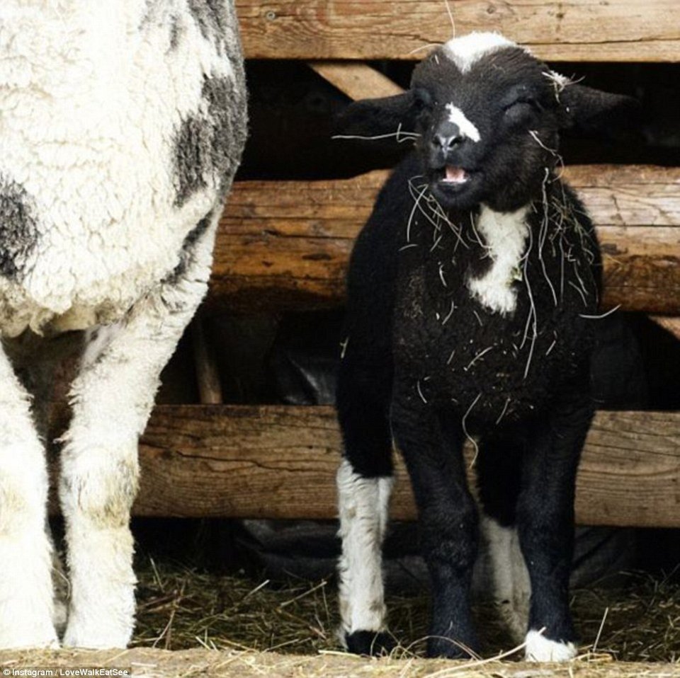 Πριν τυφλωθεί θέλει να δει όλο τον κόσμο -Η συγκινητική ιστορία 34χρονης που πάσχει από σπάνια ασθένεια [εικόνες]  | iefimerida.gr 7