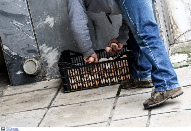 «Βαφτίζουν» ελληνικά εισαγόμενα αυγά αμφιβόλου ποιότητας- Αδράνεια των αρχών καταγγέλλουν οι παραγωγοί | iefimerida.gr 0