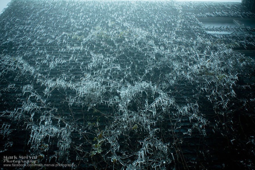 Μια παγωμένη πόλη - Εικόνες «Αποκάλυψης» στην Βουδαπέστη [εικόνες] | iefimerida.gr 6