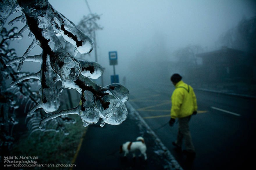 Μια παγωμένη πόλη - Εικόνες «Αποκάλυψης» στην Βουδαπέστη [εικόνες] | iefimerida.gr 5