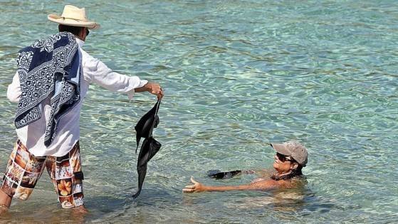 Tόπλες η υπέρβαρη σύζυγος του Πιρς Μπρόσναν - Της δίνει το πάνω μέρος του μπικίνι [εικόνες] | iefimerida.gr 1