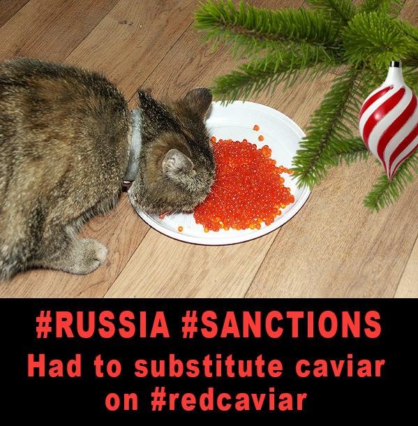 Οι Ρώσοι χλευάζουν τους Δυτικούς: Δεν γίναμε φτωχοί, έτσι σπαταλάμε το χαβιάρι, το δίνουμε και στα γατιά [εικόνες] | iefimerida.gr 0