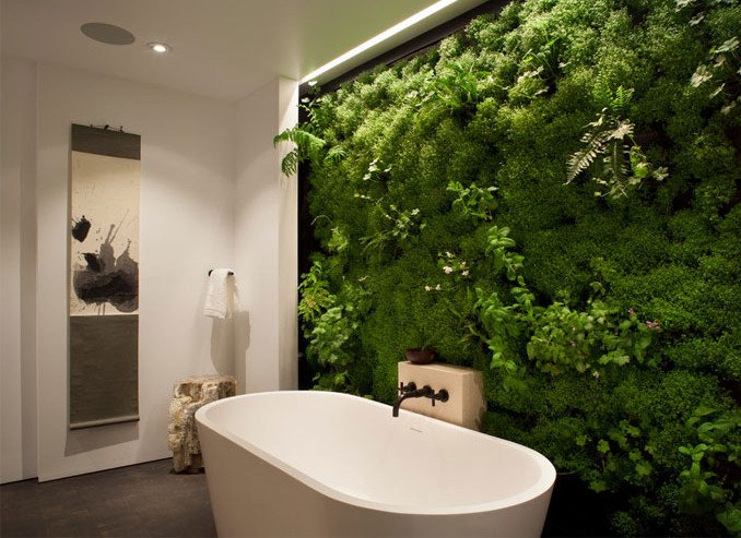 Βάλτε πράσινο στη ζωή σας: Ταπετσαρίες από ζωντανά φυτά μεταμορφώνουν τους «γυμνούς» τοίχους [εικόνες] | iefimerida.gr 1