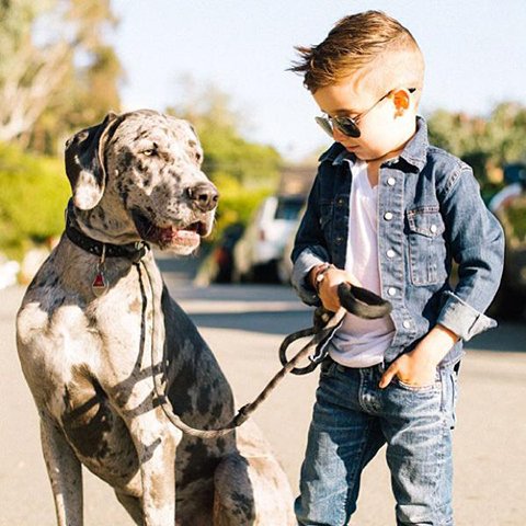 Ο πιο στυλάτος μπόμπιρας στον κόσμο – Πεντάχρονος fashion icon με χιλιάδες θαυμαστές [εικόνες] | iefimerida.gr 2