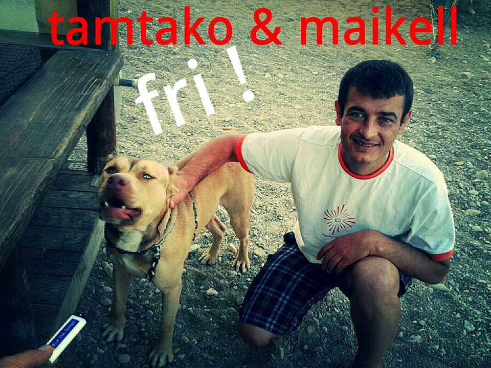 Πιστολέρο του Μικρολίμανου: Διακοπές στη Χίο, περίεργα βίντεο στο Facebook και υβριστικά σχόλια για την Ελλάδα [εικόνες] | iefimerida.gr 0