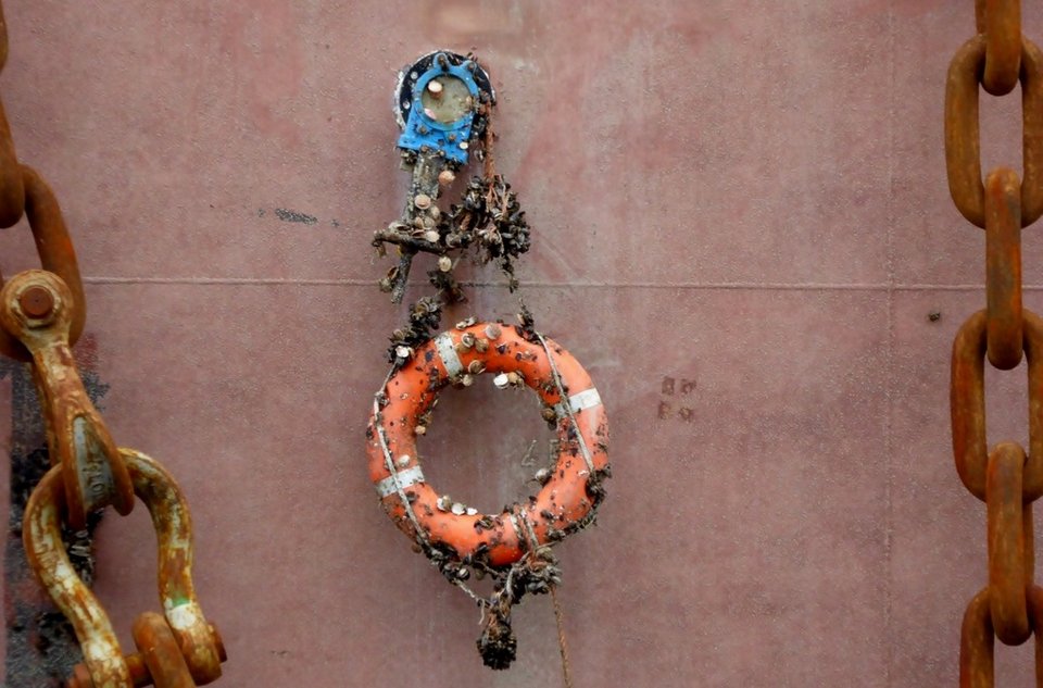 Η δύσκολη διαδικασία της ανέλκυσης -Βγάζοντας από το βυθό φορτηγό πλοίο με 1.400 οχήματα [βίντεο & εικόνες]  | iefimerida.gr 1