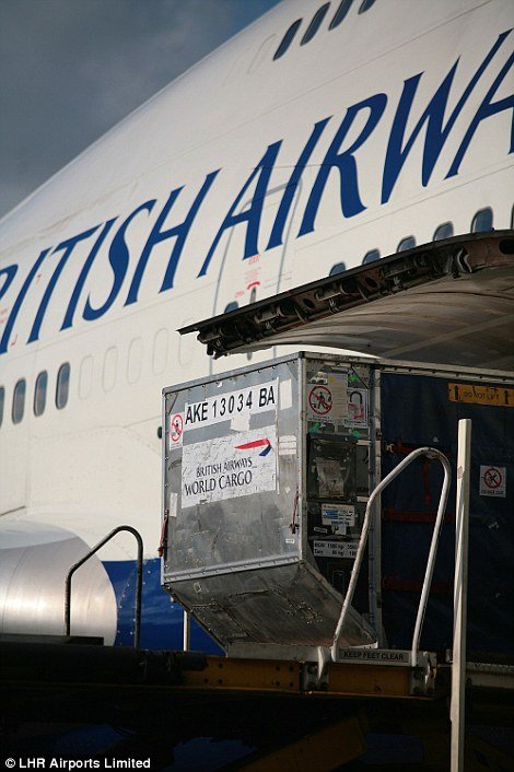 Πού πάνε οι βαλίτσες μετά το check-in; -Το πιο προηγμένο αεροδρόμιο στη μεταφορά αποσκευών καταγράφει καρέ-καρέ τη διαδρομή [εικόνες] | iefimerida.gr 11