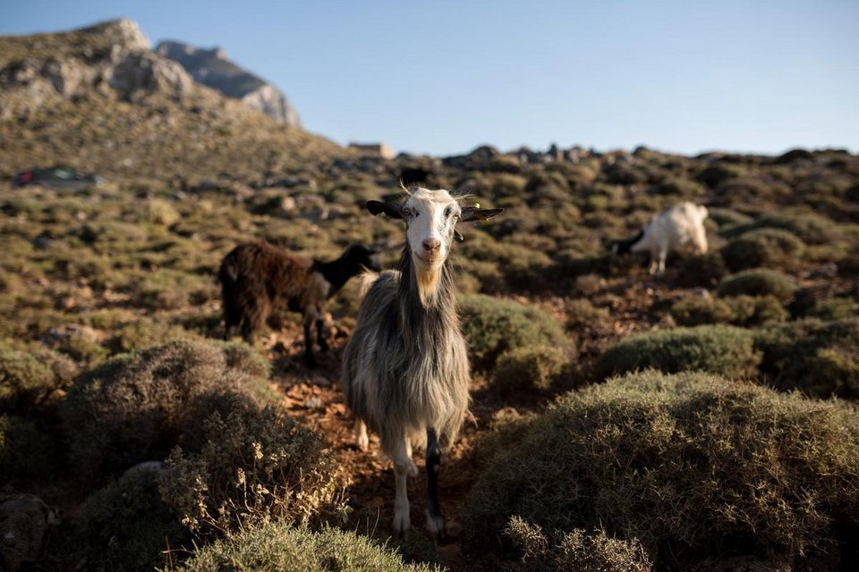Η πιο τροπική γωνιά της Μεσογείου βρίσκεται στην Ελλάδα - Ο μαγευτικός Μπάλος μέσα από 28 φωτογραφίες [εικόνες] | iefimerida.gr 2