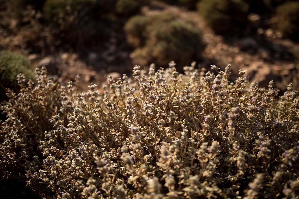 Η πιο τροπική γωνιά της Μεσογείου βρίσκεται στην Ελλάδα - Ο μαγευτικός Μπάλος μέσα από 28 φωτογραφίες [εικόνες] | iefimerida.gr 5
