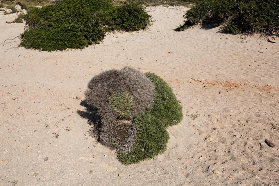 Η πιο τροπική γωνιά της Μεσογείου βρίσκεται στην Ελλάδα - Ο μαγευτικός Μπάλος μέσα από 28 φωτογραφίες [εικόνες] | iefimerida.gr 6