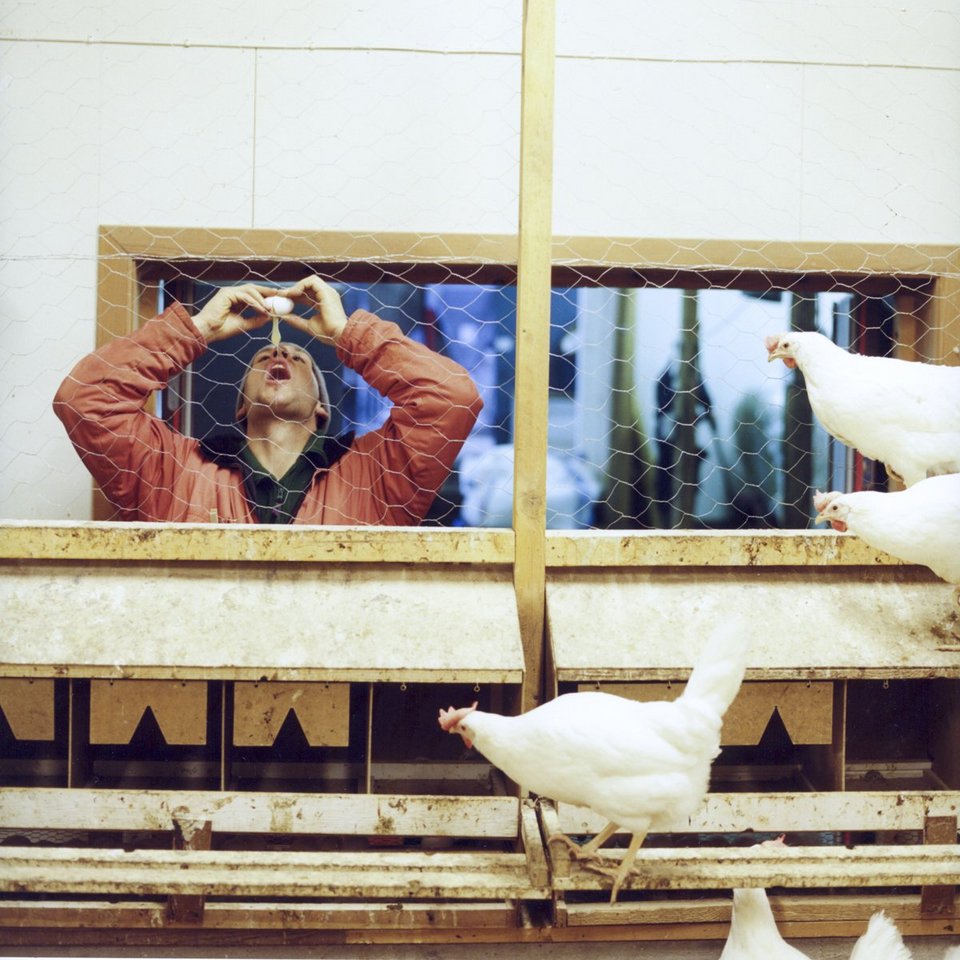 Φυλακή χωρίς συρματόπλεγμα & τείχη -Οι κρατούμενοι κάνουν σπορ, δουλεύουν και ζουν ελεύθεροι [εικόνες] | iefimerida.gr 2