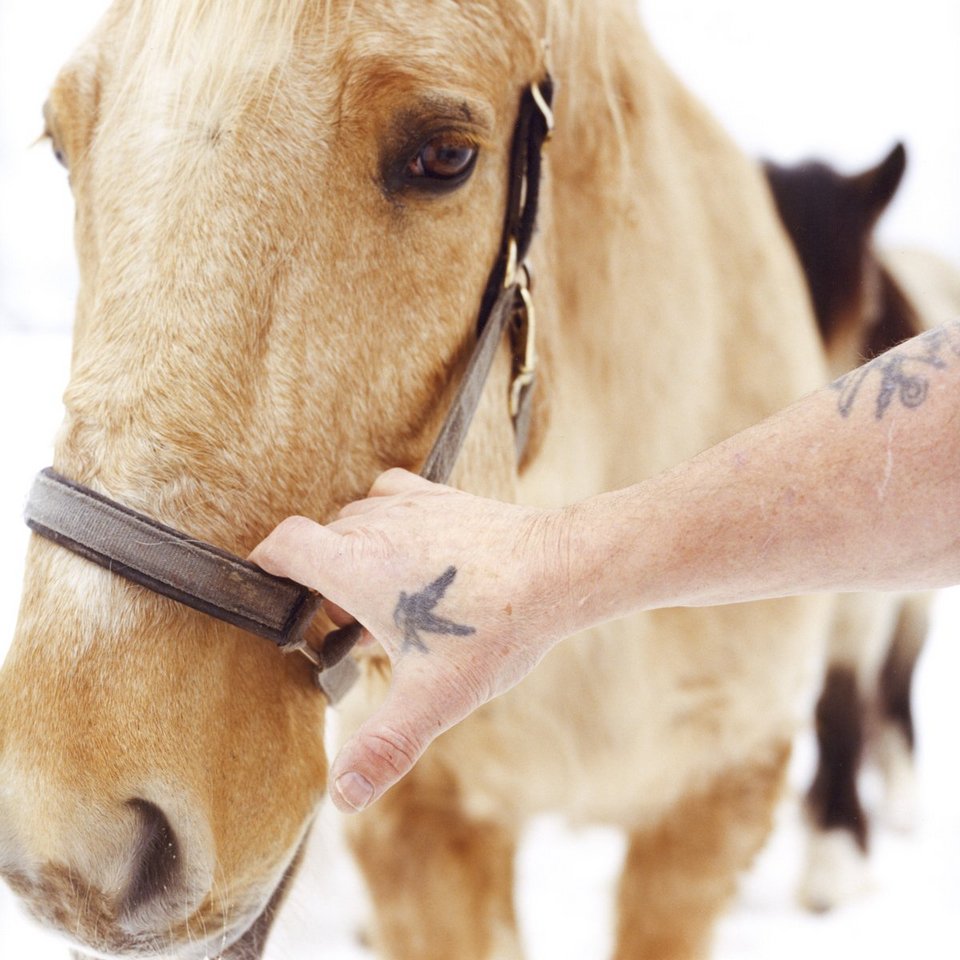 Φυλακή χωρίς συρματόπλεγμα & τείχη -Οι κρατούμενοι κάνουν σπορ, δουλεύουν και ζουν ελεύθεροι [εικόνες] | iefimerida.gr 8