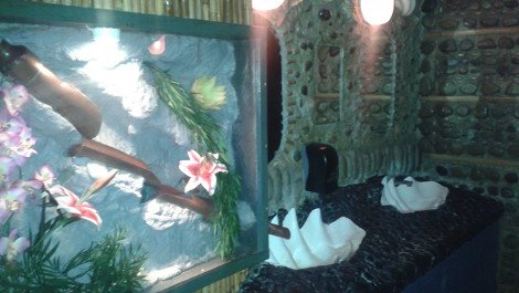 Οταν η φυσική ανάγκη θυμίζει τέχνη: Δημόσιες τουαλέτες αριστουργήματα -Κανείς δεν αρνείται να τις χρησιμοποιήσει [εικόνες] | iefimerida.gr 2