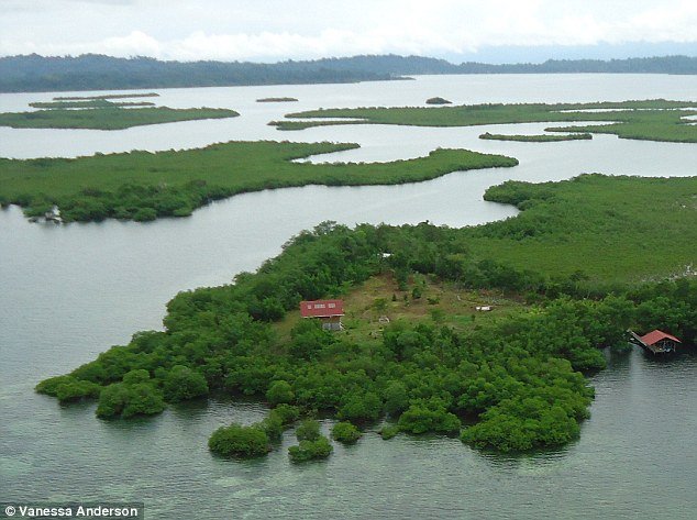 Ο σύγχρονος Ροβινσώνας Κρούσος είναι 50 ετών και πούλησε τη ζωή του στο eBay για να γίνει ερημίτης μαζί με 10 κότες [εικόνες] | iefimerida.gr 1