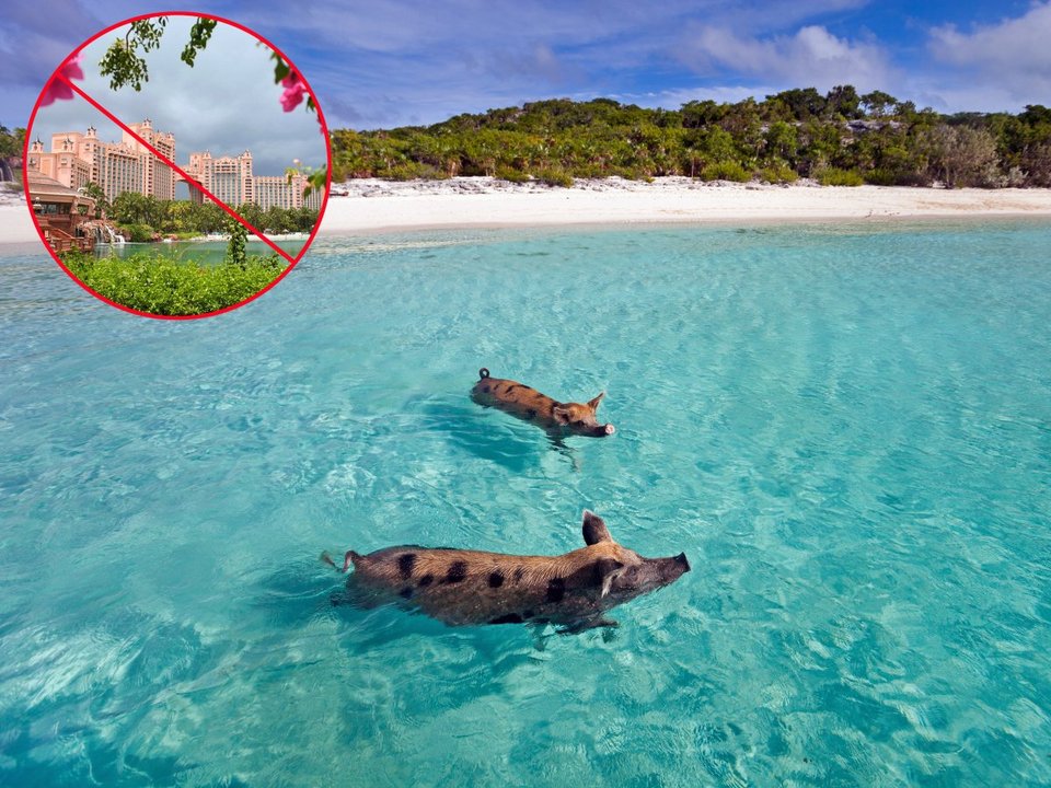 Η Ακρόπολη ένα από τα 14 μέρη στον κόσμο που πήζουν από τουρίστες -Γιατί το Bussiness Insider προτρέπει όλους να πάνε μετά στη Ρόδο [εικόνες] | iefimerida.gr 10