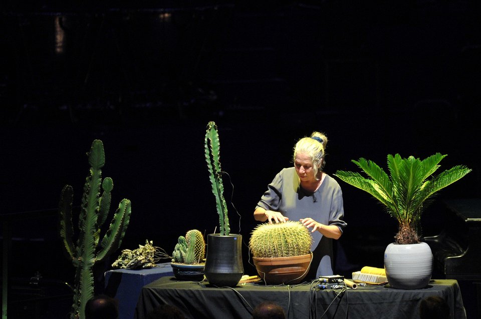 Σε αυτό το Φεστιβάλ υπάρχει όργανο με 25 μέτρα χορδές και ο Αγγελάκας ερμηνεύει Τζον Κέιτζ [πρόγραμμα]  | iefimerida.gr 3