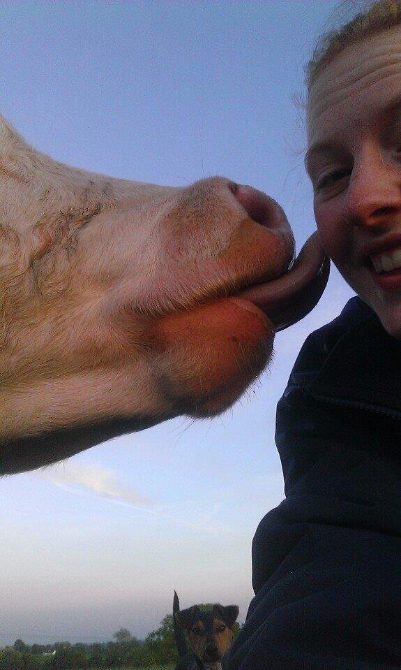 Αυτή είναι η νέα μόδα στις Selfies: Ιρλανδοί αγρότες έβαλαν τα γυαλιά στο Facebook [εικόνες] | iefimerida.gr 1