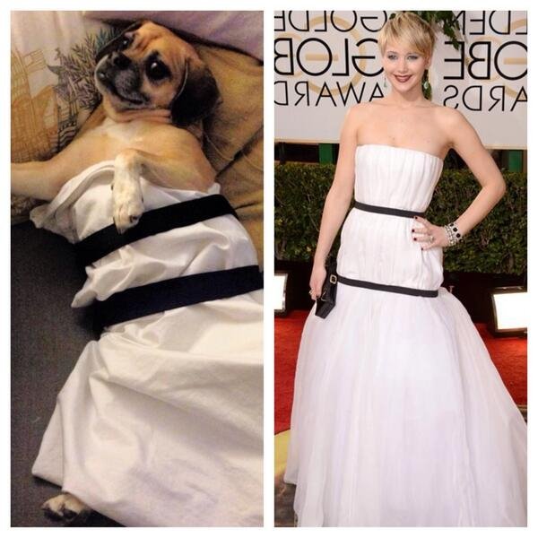 Το απαίσιο φουστάνι της Τζένιφερ Λόρεν στις Χρυσές Σφαίρες έγινε παγκόσμιο viral [εικόνες] | iefimerida.gr 2