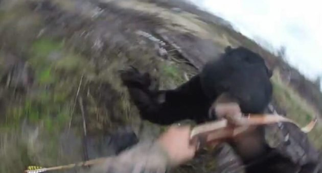 Τρομακτικό βίντεο: Aρκούδα επιτίθεται σε κυνηγό [εικόνες & βίντεο]  | iefimerida.gr 1