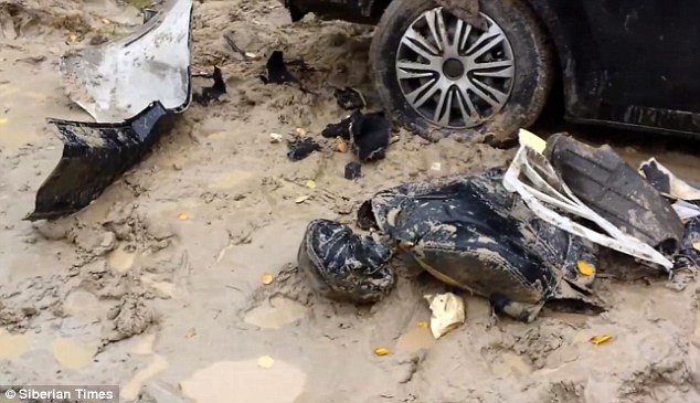 Η εκδίκηση της αρκούδας -Διέλυσε το αυτοκίνητο του κυνηγού που τόλμησε να την πυροβολήσει [εικόνες] | iefimerida.gr 2