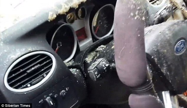 Η εκδίκηση της αρκούδας -Διέλυσε το αυτοκίνητο του κυνηγού που τόλμησε να την πυροβολήσει [εικόνες] | iefimerida.gr 3