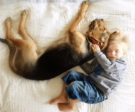 Η ιστορία αγάπης και ύπνου του μωρού και του σκύλου εξακολουθεί να λιώνει το Ιντερνετ -Μεγάλωσαν αλλά κοιμούνται ακόμη σφιχταγκαλιασμένοι [εικόνες] | iefimerida.gr 0