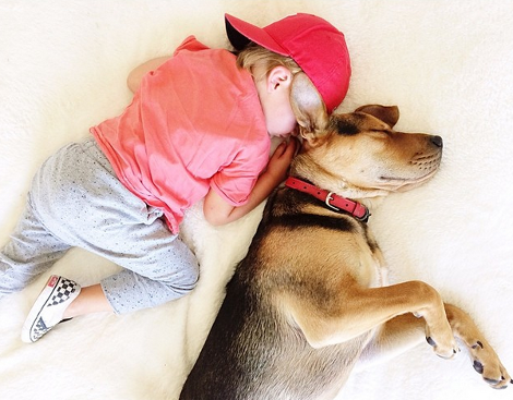 Η ιστορία αγάπης και ύπνου του μωρού και του σκύλου εξακολουθεί να λιώνει το Ιντερνετ -Μεγάλωσαν αλλά κοιμούνται ακόμη σφιχταγκαλιασμένοι [εικόνες] | iefimerida.gr 9