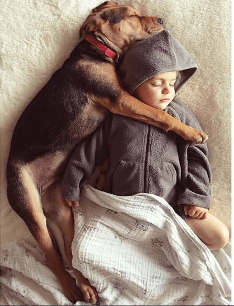Η ιστορία αγάπης και ύπνου του μωρού και του σκύλου εξακολουθεί να λιώνει το Ιντερνετ -Μεγάλωσαν αλλά κοιμούνται ακόμη σφιχταγκαλιασμένοι [εικόνες] | iefimerida.gr 14