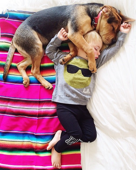 Η ιστορία αγάπης και ύπνου του μωρού και του σκύλου εξακολουθεί να λιώνει το Ιντερνετ -Μεγάλωσαν αλλά κοιμούνται ακόμη σφιχταγκαλιασμένοι [εικόνες] | iefimerida.gr 15