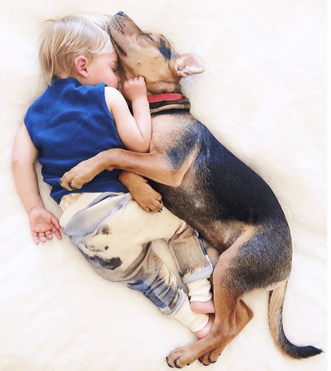 Η ιστορία αγάπης και ύπνου του μωρού και του σκύλου εξακολουθεί να λιώνει το Ιντερνετ -Μεγάλωσαν αλλά κοιμούνται ακόμη σφιχταγκαλιασμένοι [εικόνες] | iefimerida.gr 16