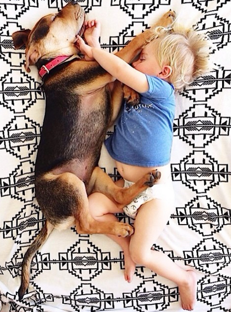 Η ιστορία αγάπης και ύπνου του μωρού και του σκύλου εξακολουθεί να λιώνει το Ιντερνετ -Μεγάλωσαν αλλά κοιμούνται ακόμη σφιχταγκαλιασμένοι [εικόνες] | iefimerida.gr 18