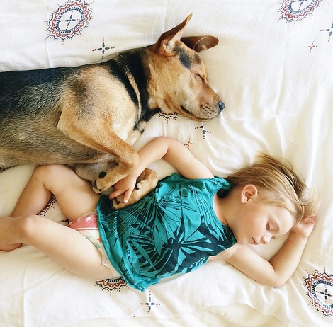 Η ιστορία αγάπης και ύπνου του μωρού και του σκύλου εξακολουθεί να λιώνει το Ιντερνετ -Μεγάλωσαν αλλά κοιμούνται ακόμη σφιχταγκαλιασμένοι [εικόνες] | iefimerida.gr 1