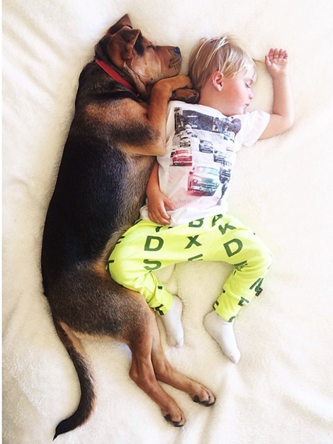 Η ιστορία αγάπης και ύπνου του μωρού και του σκύλου εξακολουθεί να λιώνει το Ιντερνετ -Μεγάλωσαν αλλά κοιμούνται ακόμη σφιχταγκαλιασμένοι [εικόνες] | iefimerida.gr 19