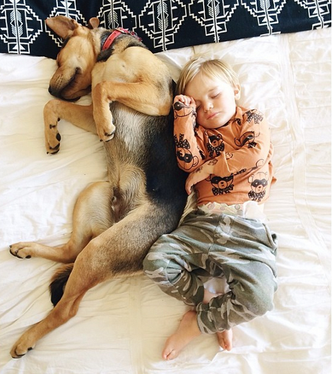 Η ιστορία αγάπης και ύπνου του μωρού και του σκύλου εξακολουθεί να λιώνει το Ιντερνετ -Μεγάλωσαν αλλά κοιμούνται ακόμη σφιχταγκαλιασμένοι [εικόνες] | iefimerida.gr 20